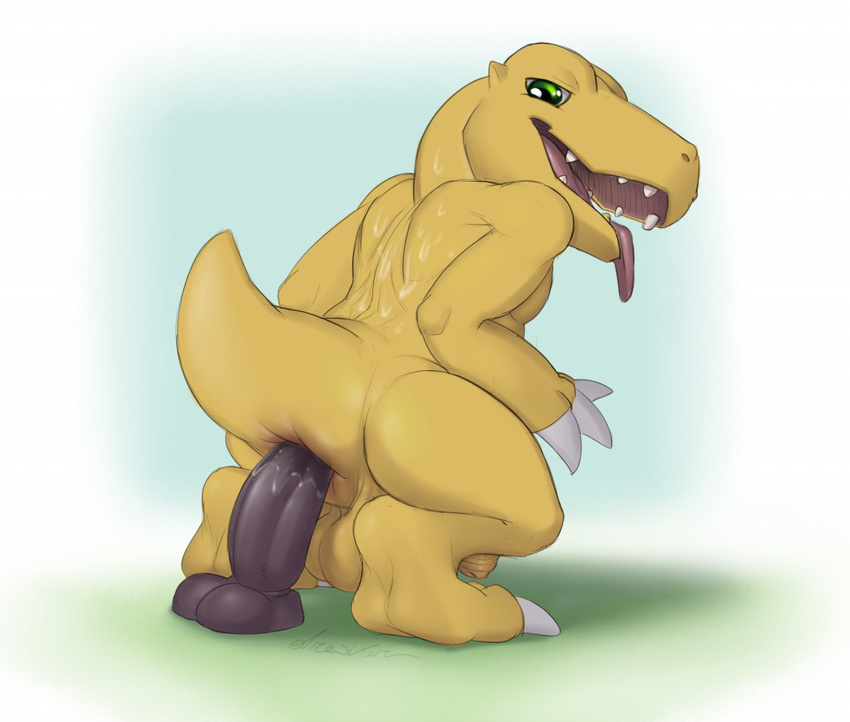 agumon ambiguous_fluids anal_insertion anthro anus backsack balls crouching digimon dildo dildo_sitting dinosaur dreiker flaccid long_foreskin looking_back male open_mouth penetration penis rear_view scalie sex_toy sharp_teeth signature solo sweat teeth tongue tongue_out uncut