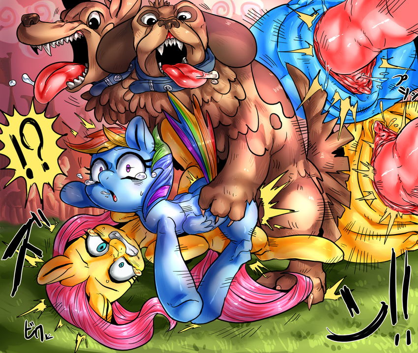 blue_fur canine dog equine erection female feral fluttershy_(mlp) forced friendship_is_magic fur group interspecies knot male male/female mammal my_little_pony nekubi orthros_(mlp) pegasus penetration penis pussy rainbow_dash_(mlp) rainbow_fur rape sex vaginal vaginal_penetration wings