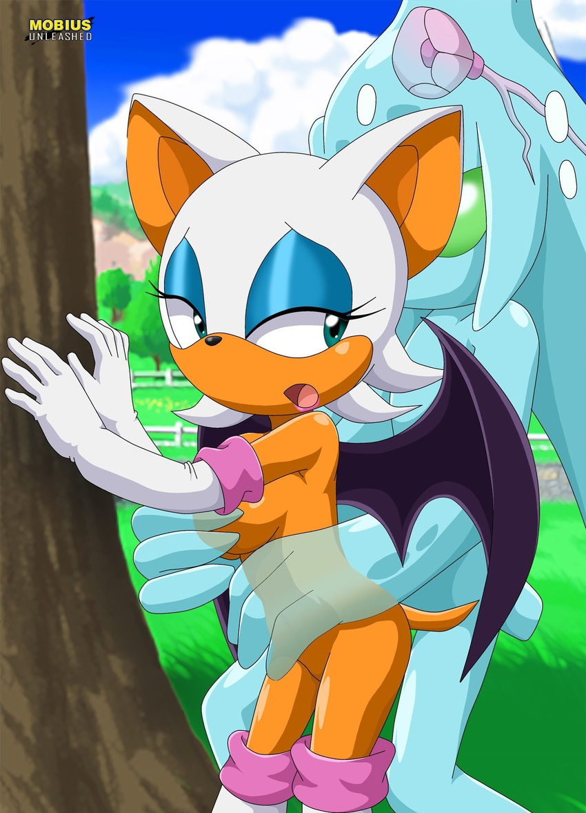 ambiguous_penetration bat bbmbbf breasts chaos_(sonic) clothing elbow_gloves exhibitionism female gloves grassland holding_breast humanoid male male/female mammal mobius_unleashed palcomix palcomix_vip penetration public rouge_the_bat sky sonic_(series) translucent tree