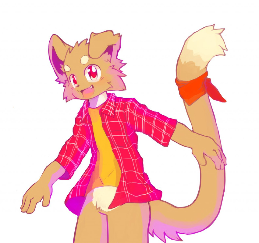 anthro bottomless brown_fur canine cat clothed clothing cub cute_fangs dog featureless_crotch feline front_view fur hybrid looking_at_viewer mammal open_mouth open_shirt plaid shirt simple_background smile solo white_background whiteleo young