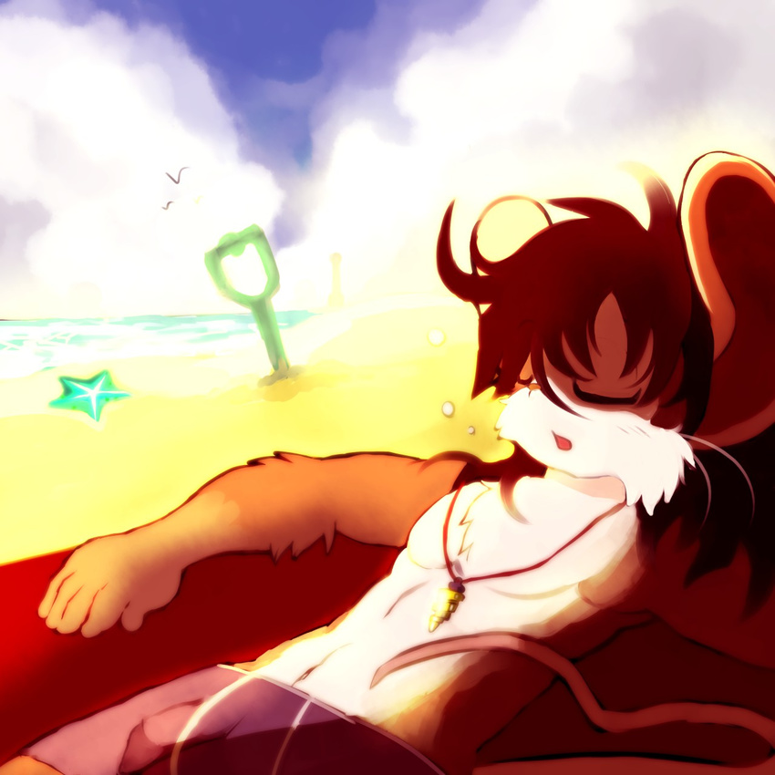 anthro beach clothed clothing cloudscape eyes_closed lying male mammal marine mouse on_back open_mouth pecs pendant rodent seaside sky sleeping solo space starfish swimsuit topless whiteleo