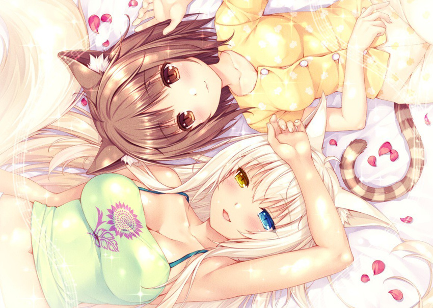 animal_ears arm_up armpits azuki_(sayori) bare_shoulders blue_eyes breasts brown_eyes brown_hair cat_ears cat_tail coconut_(sayori) collarbone from_above hand_on_forehead hand_on_own_stomach heterochromia jpeg_artifacts large_breasts long_hair lying midriff multiple_girls navel nekopara official_art pajamas paw_print petals platinum_blonde_hair print_pajamas print_shirt sayori shirt short_hair slit_pupils smile spaghetti_strap striped_tail tail tank_top white_hair yellow_eyes