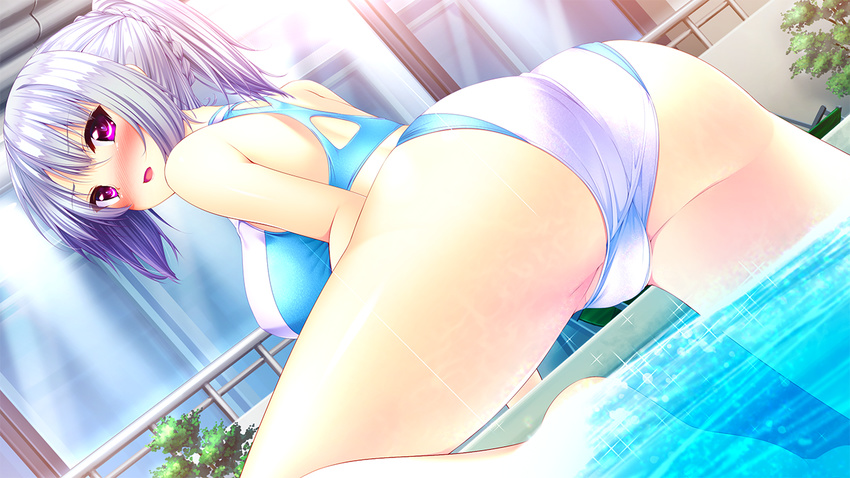 1girl ass back bare_shoulders blush braids breasts embarrassed female from_behind game_cg giga giga_(company) highres izumo_kasumi izumo_kasumi_(ren'ai_phase) large_breasts legs long_hair looking_back nironiro open_mouth partially_submerged pink_eyes ponytail pool purple_eyes ren'ai_phase ren'ai_phase shiny shiny_skin sideboob solo swimsuit thighs usume_shirou water wet white_hair