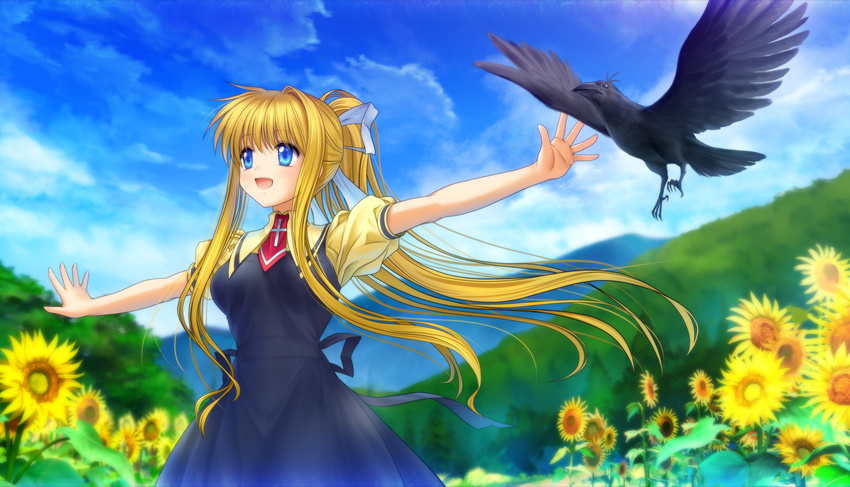 air animal bird blonde_hair blue_eyes bow clouds dress flowers grass kamio_misuzu landscape long_hair moonknives ponytail scenic seifuku sky sunflower