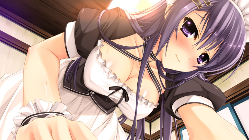 blush breasts cleavage game_cg koiiro_marriage long_hair maid murakami_suigun purple_eyes purple_hair takamiya_kuon