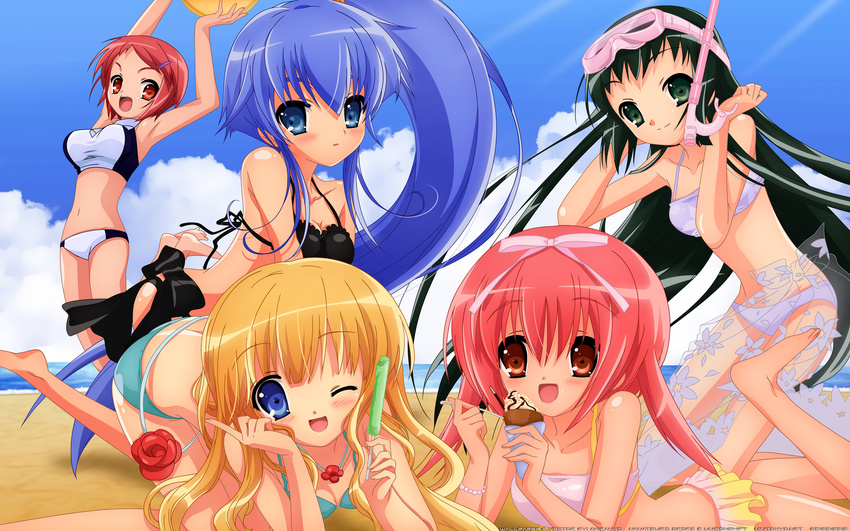 akihime_sumomo akiranyo bikini fukamichi_nobuko itou_noiji koiwai_flora nanatsuiro_drops swimsuit yaeno_nadeshiko yuuki_nona