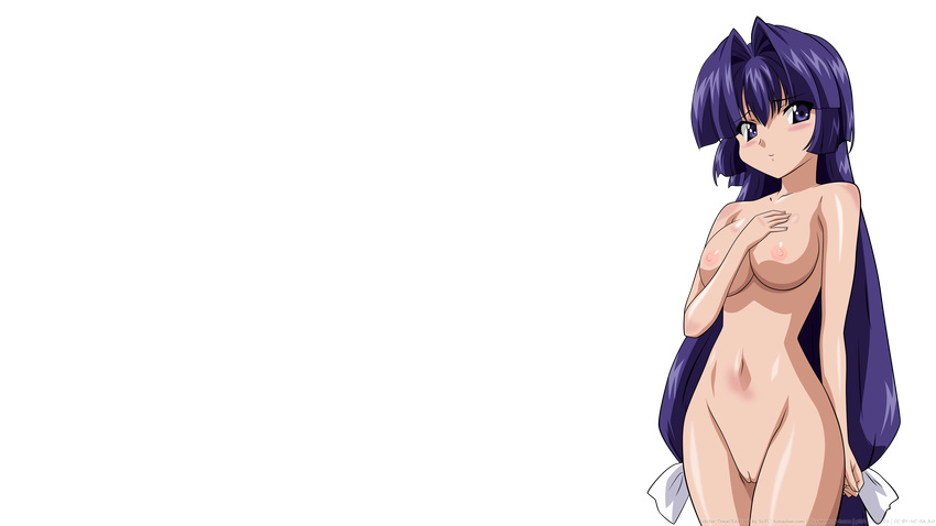 blue_eyes breasts kamishiro_rin long_hair maburaho nipples nude purple_hair transparent uncensored vector