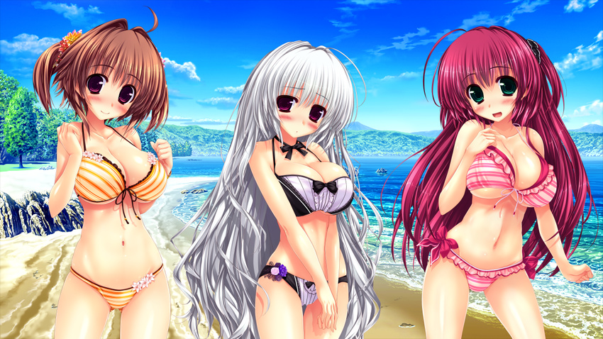 beach bikini blush game_cg kaidou_ririko oshiki_hitoshi sakigake_generation shikishima_natsume swimsuit yukinomiya_an'on