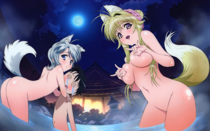 1boy 2girls animal_ears ass black_hair blonde_hair blue_eyes breasts ezomori_nozomu flat_chest fox_ears grey_hair kanokon large_breasts long_hair looking_at_viewer minamoto_chizuru multiple_girls navel nude official_art oyamada_kouta purple_eyes smile tail wallpaper wolf_ears