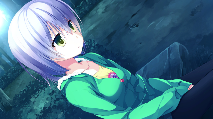 black_legwear closed_mouth collarbone emotionless female forest game_cg green_eyes hood hoodie ichiban_janakya_dame_desu_ka? kinta_(distortion) long_sleeves nature rosebleu shijou_sango short_hair silver_hair sitting sleeves_past_wrists solo