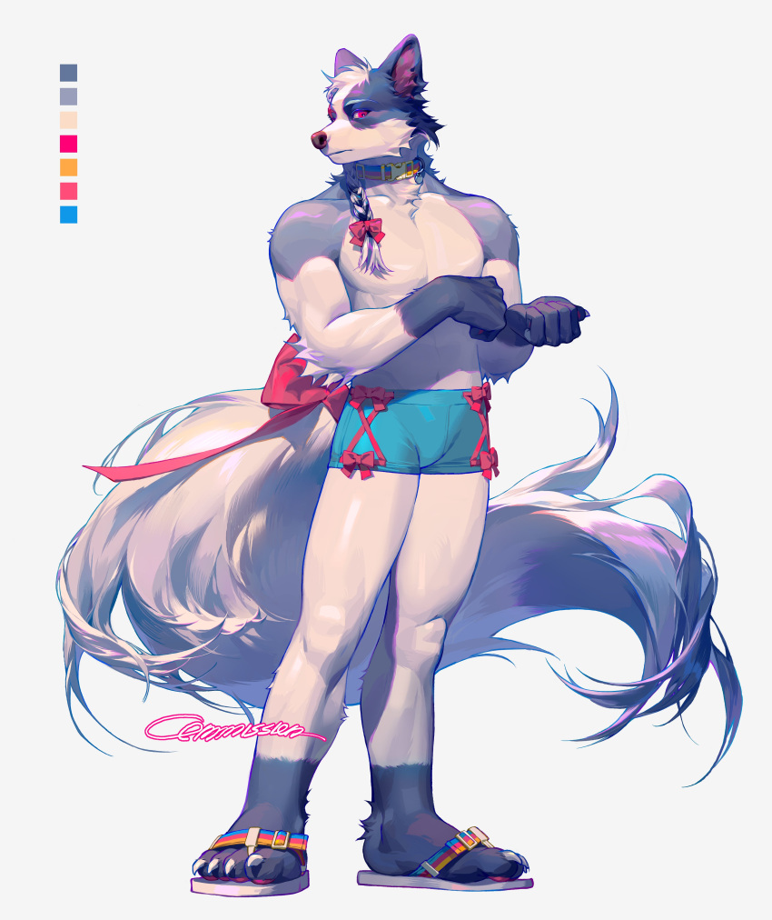 4_toes 5_fingers absurd_res anthro athletic athletic_anthro athletic_male blue_body blue_fur boots_(marking) boxers_(clothing) boxers_only canid canine canis clothed clothing collar countershading dongbomu1 feet fingers fluffy fluffy_tail footwear fur gloves_(marking) hair hi_res inner_ear_fluff long_hair long_tail looking_at_viewer male mammal markings nippleless purple_inner_ear_fluff red_eyes sandals simple_background solo tail toes topless tuft underwear underwear_only white_background white_body white_countershading white_fur wolf