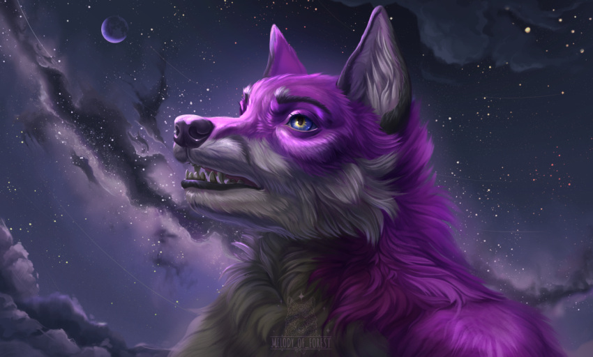 anthro canid canine canis furry mammal melodyofforest night starry wolf