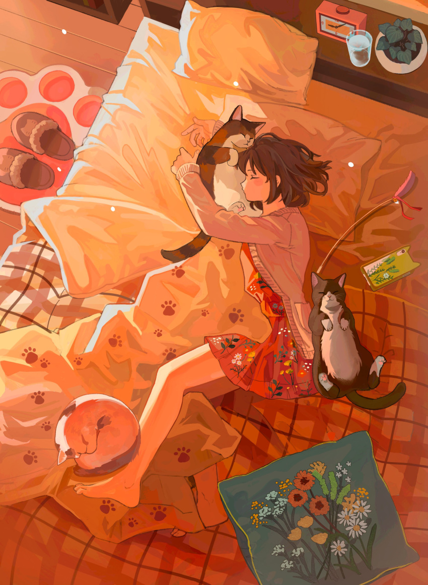 1girl absurdres alarm_clock animal animal_hug barefoot bed bedroom blanket brown_cardigan brown_hair cardigan cat cat_day cat_teaser cellphone clock closed_eyes cup day dress drinking_glass expressionless floral_print from_above full_body highres indoors long_sleeves lying mituhati on_bed on_side original paw_print phone pillow plaid_blanket plant potted_plant red_dress rug scenery short_hair sleeping slippers smartphone smartphone_case solo under_covers unworn_slippers wooden_floor