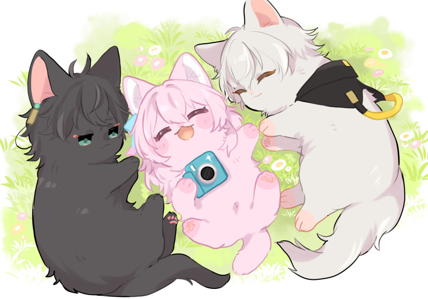 1girl 2boys animal_earrings animal_focus animalization black_cat black_fur blush_stickers caelus_(honkai:_star_rail) camera cat closed_eyes dan_heng_(honkai:_star_rail) earrings flower grass green_eyes grey_cat grey_fur highres holding holding_camera honkai:_star_rail honkai_(series) jacket jewelry looking_at_another lying march_7th_(honkai:_star_rail) multiple_boys nasuka_gee no_humans on_back on_side outdoors pink_cat pink_fur single_earring trailblazer_(honkai:_star_rail)