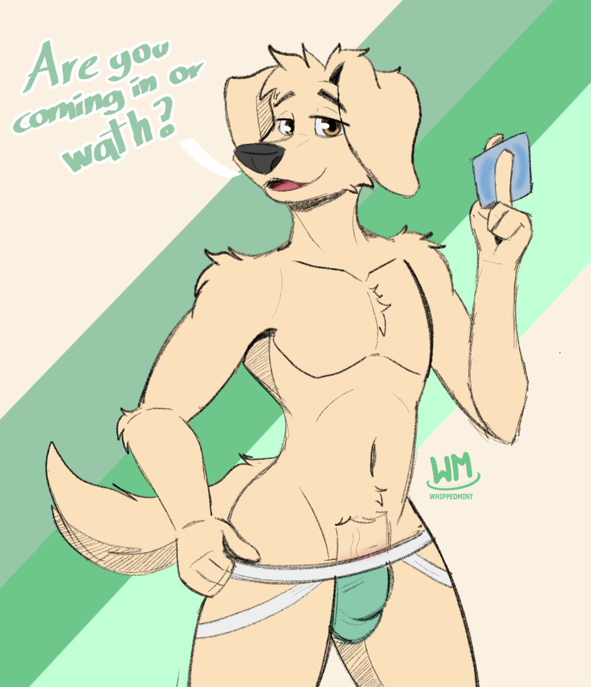 absurd_res anthro beastars bird_dog brown_eyes canid canine canis clothed clothing condom domestic_dog golden_retriever hi_res hunting_dog jack_(beastars) jockstrap jockstrap_only male mammal retriever sexual_barrier_device sketch solo tail topless underwear underwear_only whippedmint
