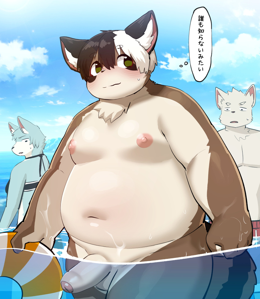 2024 absurd_res anthro balls belly big_belly bottomwear brown_body canid canine canis clothing cloud detailed_background domestic_dog genitals grey_body group hi_res humanoid_genitalia humanoid_hands humanoid_penis japanese_text kemono male mammal moobs navel nipples outside overweight overweight_male penis procyonid raccoon shorts ssu_open swimwear text water