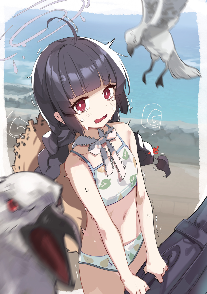 1girl bag bikini bird black_hair blue_archive blunt_bangs blurry braid collarbone commentary_request crying crying_with_eyes_open ddolggol depth_of_field duffel_bag halo hat hat_on_back highres holding holding_bag long_hair looking_at_viewer low_twintails miyu_(blue_archive) miyu_(swimsuit)_(blue_archive) navel ocean official_alternate_costume official_alternate_hairstyle outdoors print_bikini red_eyes scared seagull sidelocks solo_focus spaghetti_strap stomach straw_hat swimsuit tears trembling twin_braids twintails unworn_hat unworn_headwear v_arms white_bikini