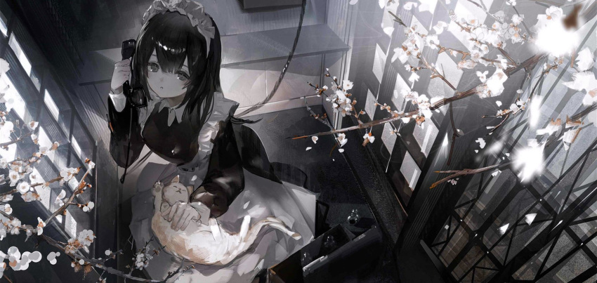 1girl :c animal_on_lap apron belly_rub black_dress black_hair branch breasts cat cat_on_lap corded_phone dress flower frilled_apron frills from_above full_body grey_eyes hair_between_eyes highres holding holding_phone indoors long_hair long_sleeves looking_at_viewer maid maid_headdress medium_breasts misumigumi on_lap open_mouth original phone sidelocks sleeve_cuffs solo straight_hair suitcase teeth white_apron white_flower