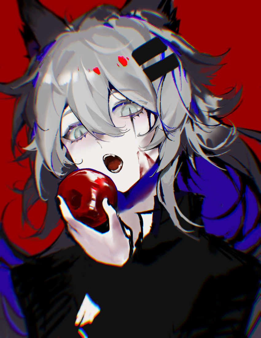 1girl absurdres animal_ears apple arknights black_jacket blood blood_on_face collared_jacket colored_inner_hair commentary fangs food fruit hair_ornament hairclip hand_up highres holding holding_food holding_fruit jacket lappland_(arknights) long_hair looking_at_viewer moriiii multicolored_hair open_mouth red_background simple_background slit_pupils solo symbol-only_commentary upper_body white_eyes white_hair wide-eyed wolf_ears