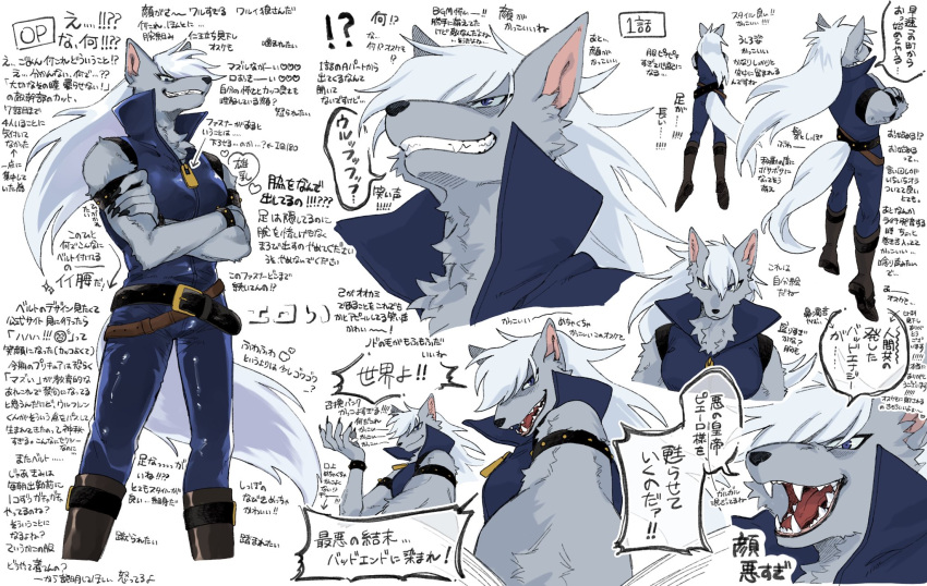 1boy animal_ears arm_strap belt blue_bodysuit blue_eyes blue_sclera body_fur bodysuit boots brown_footwear claws collared_bodysuit colored_sclera commentary_request cropped_legs crossed_arms full_body furry furry_male grey_fur grin hand_up high_collar highres long_hair looking_at_viewer male_focus multiple_views open_mouth precure rata_(norahasu) sharp_teeth simple_background sleeveless sleeveless_bodysuit smile smile_precure! speech_bubble standing studded_belt studded_bracelet tail teeth translation_request white_background white_hair wolf_boy wolf_ears wolf_tail wolfrun