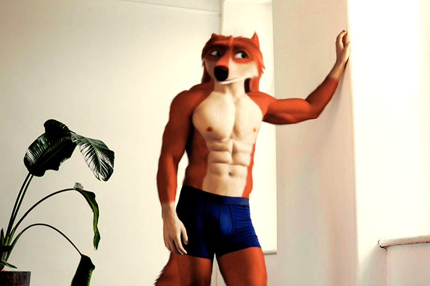 abs alpha_and_omega anthro anthrofied bulge canine clothing edit fur garth green_eyes male mammal muscular nipples oystercatcher7 pecs photo_manipulation photomorph red_fur solo underwear wolf