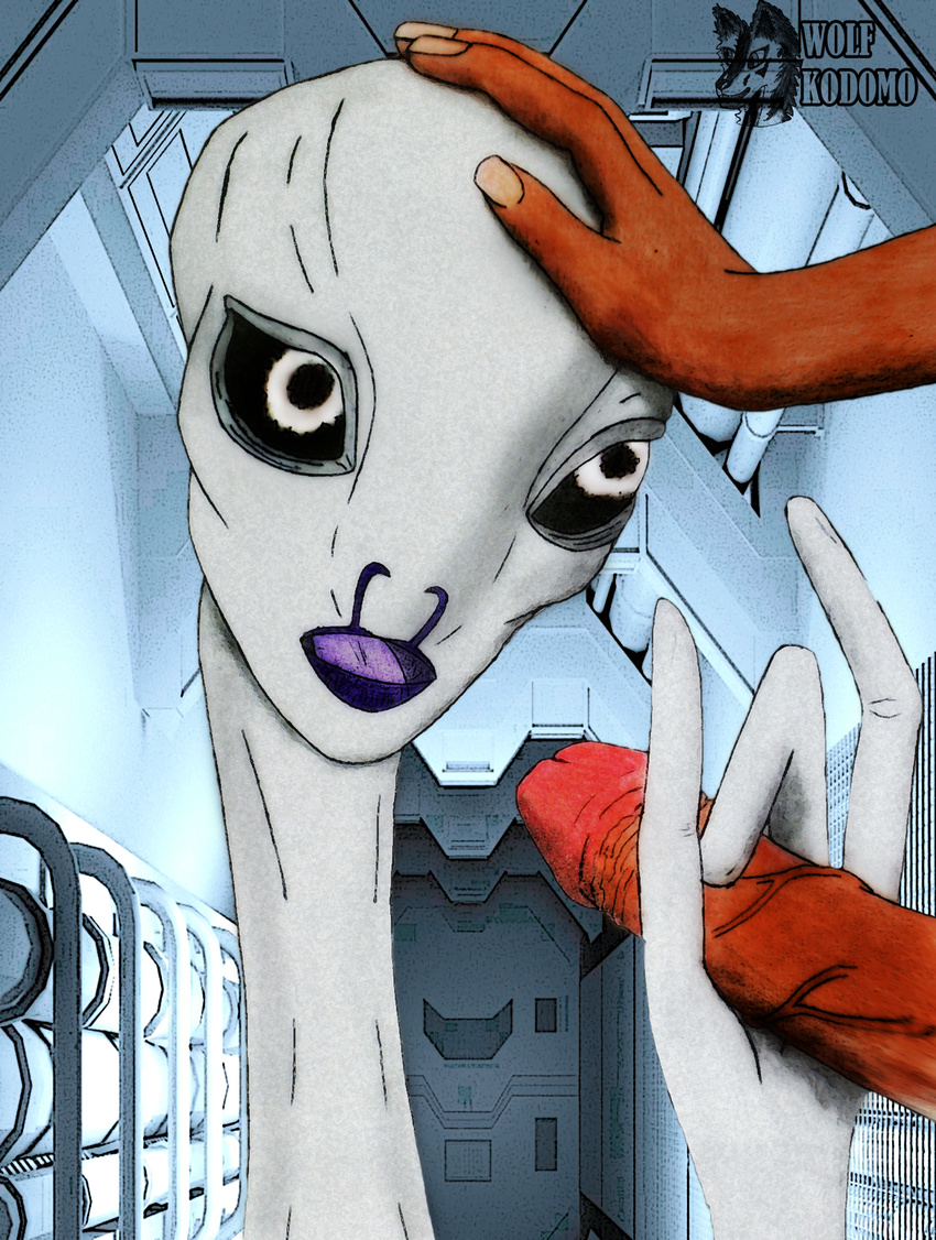 alien cute_face digital_media_(artwork) duo hand_on_head hi_res human kaminoan mammal nikita_we open_mouth penis star_wars what wolfkuro