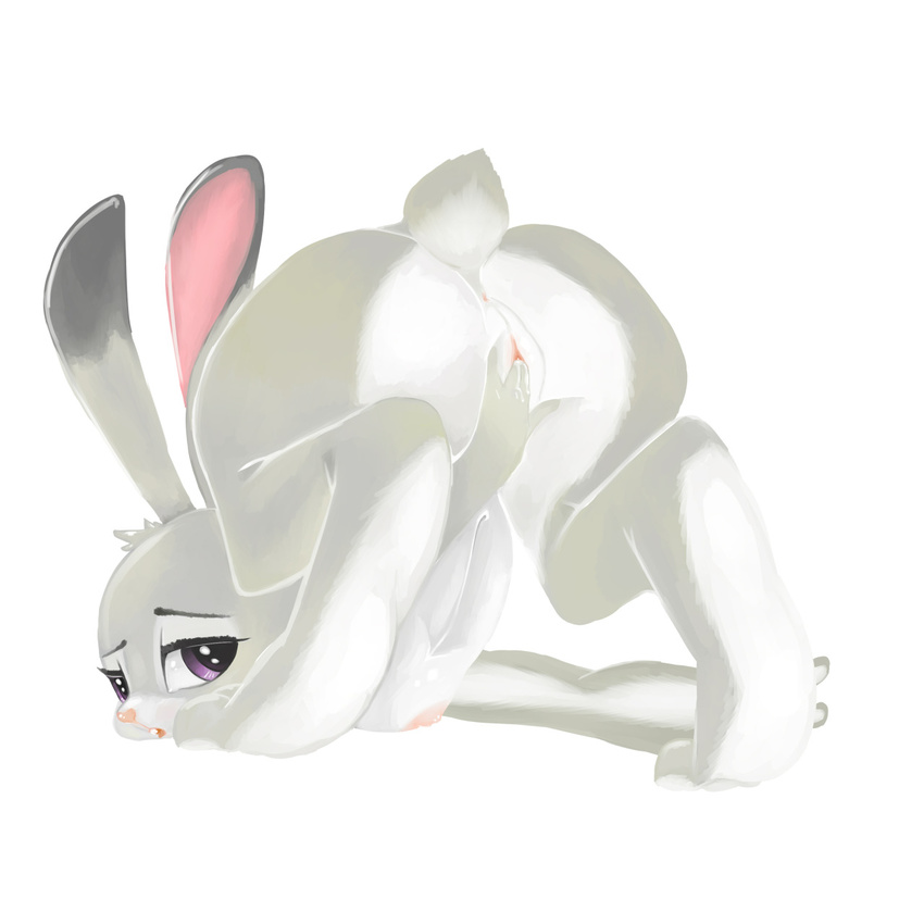 2016 anus ass_up breasts butt disney female fingering fingering_self fur grey_fur half-closed_eyes hi_res hindpaw judy_hopps lagomorph long_ears looking_at_viewer looking_back mammal masturbation nipples nude open_mouth paws penetration ponylicking purple_eyes pussy pussy_juice rabbit simple_background small_breasts solo teeth vaginal vaginal_masturbation vaginal_penetration white_background white_fur zootopia