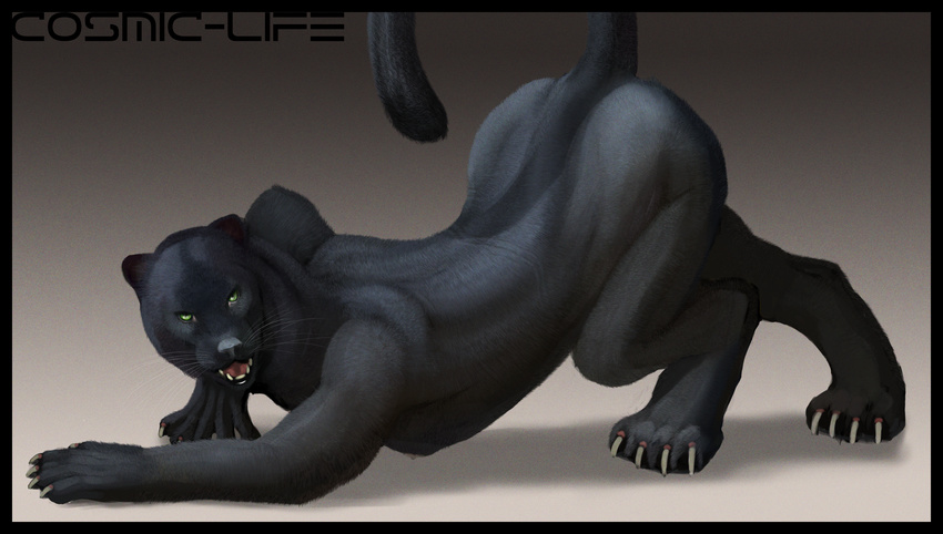 ass_up black_fur black_panther butt claws cosmiclife crawling feline female fur hi_res jaguar looking_at_viewer mammal open_moth panther pinup pose prowling raised_tail seductive simple_background solo stalking teeth