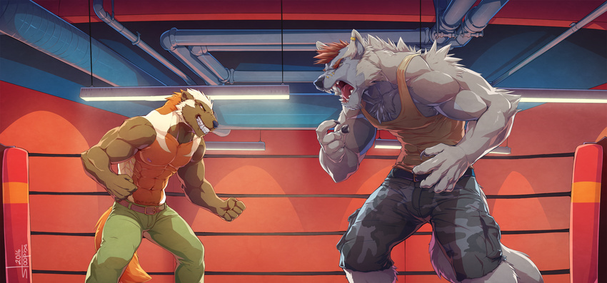 2016 5_fingers abs angry anthro biceps black_nose brown_fur brown_hair canine chest_tuft claws clothed clothing duo fangs fur grey_fur hair hi_res inside male mammal multicolored_fur muscular muscular_male nipples open_mouth pants pecs shirt shorts standing stoopix tank_top teeth topless tuft vest white_fur wolf