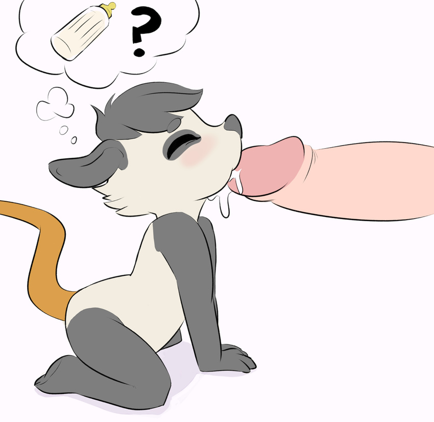 anthro blush cub cum cum_in_mouth cum_inside duo eyes_closed faceless_male fellatio female hi_res humanoid_penis lily_opossum male male/female mammal marsupial nude opossum oral penis poppy_opossum sex thought_bubble unknown_artist young