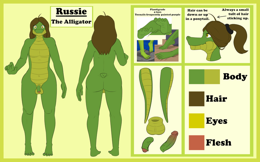 2016 4_toes alligator anthro balls barefoot butt digital_media_(artwork) dr_zombie english_text erection flaccid hair hi_res looking_at_viewer male model_sheet nude penis ponytail reptile russie scalie simple_background solo standing text toes yellow_eyes
