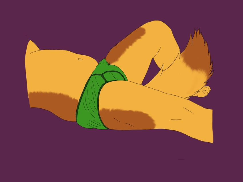 bulge canine clothing male mammal nikolaithefur partial simple_background slightly_chubby underwear unshaded