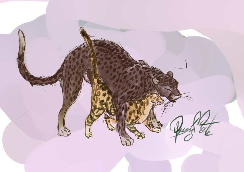 all_fours barbed_penis cheetah digital_media_(artwork) egyptian_mau feline female hotwert invalid_tag lustful mafti_(queensmate) male male/female mammal markings penis queensmate revad sex size_play sketch spot whiskers