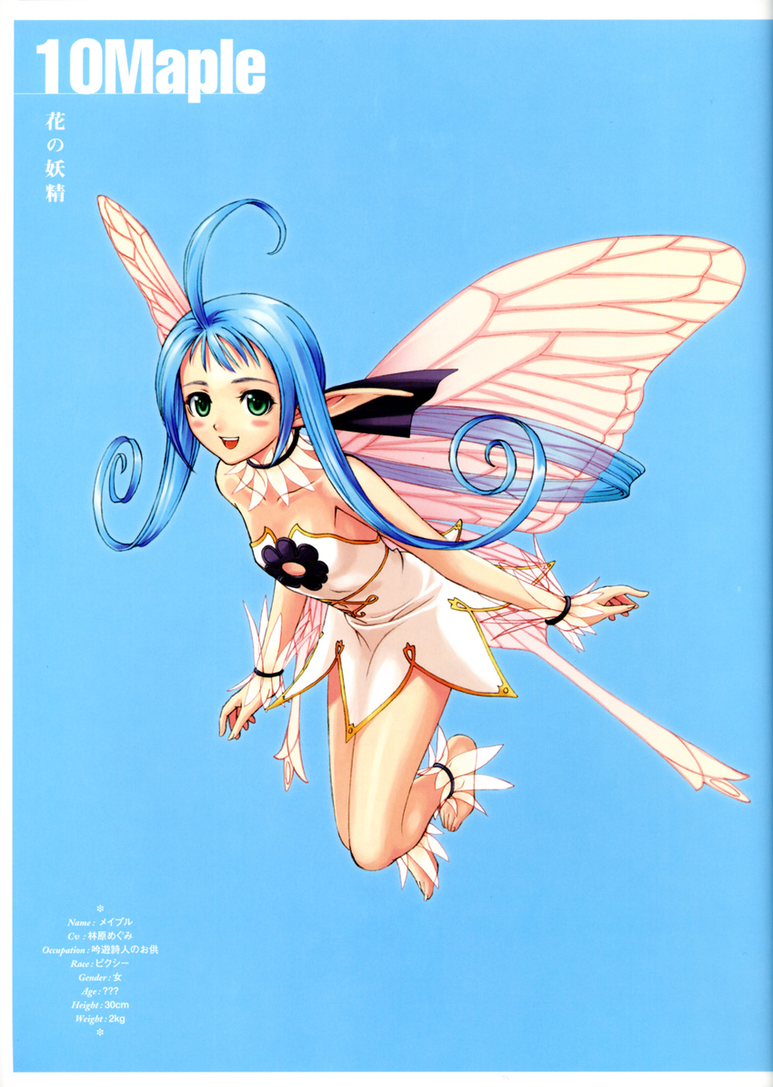 fairy maple_(shining_tears) profile_page shining_tears shining_wind tony_taka