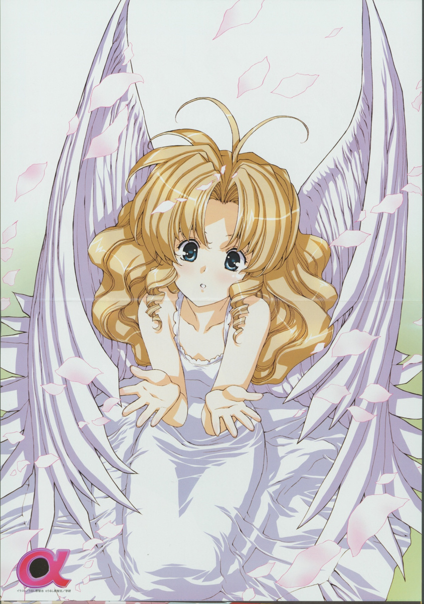 angel crease tagme urushihara_satoshi wings