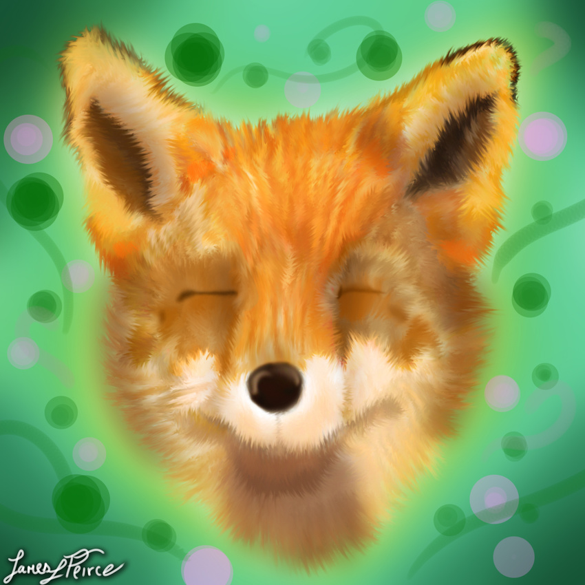 canine cute design digital_media_(artwork) edit eyes_closed fox fur general: headshot_portrait his_res hjamespeirce mammal orange_fur portrait solo wallpaper