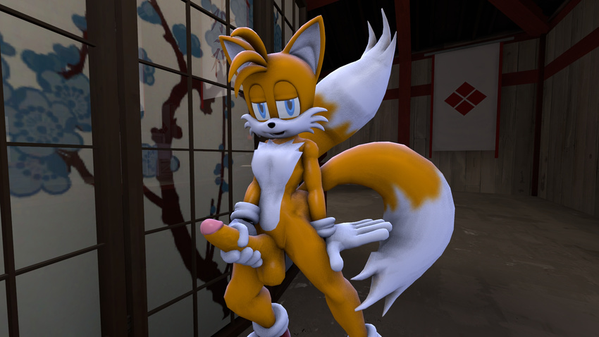 3d_(artwork) anthro balls canine cgi darksorm digital_media_(artwork) erection fox male mammal miles_prower penis solo sonic_(series)