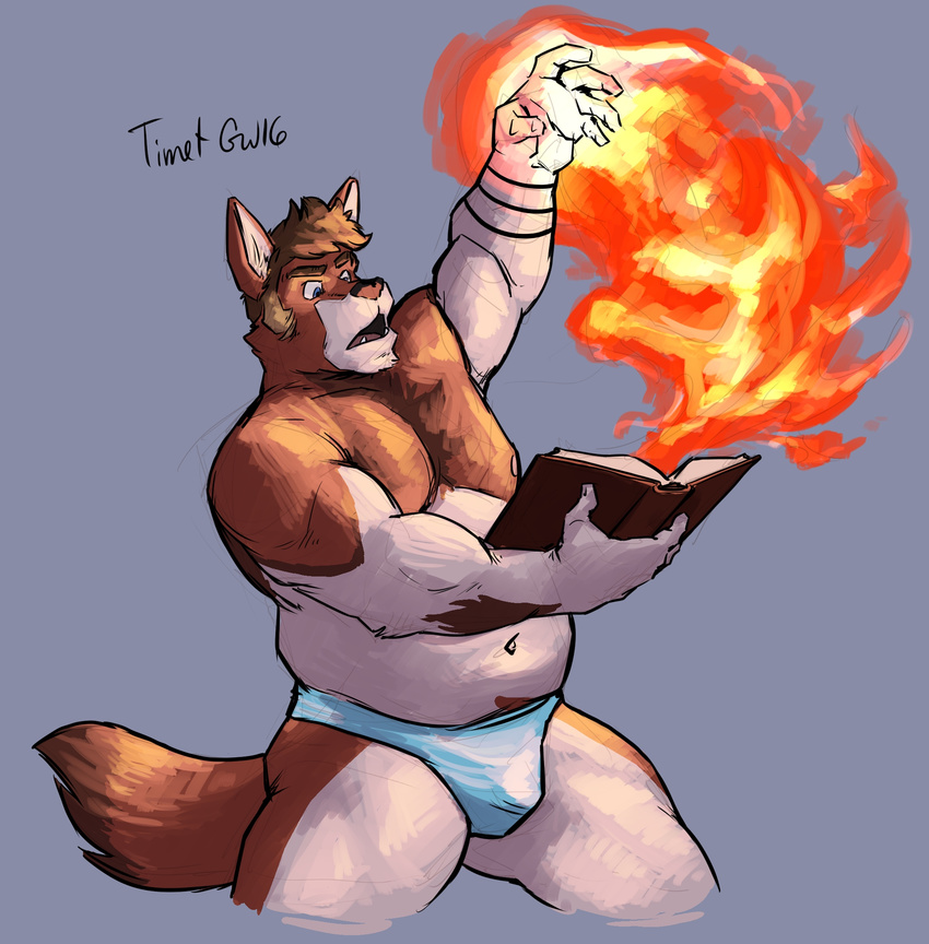 book briefs canine captaingerbear clothing fire humanoid luxordtimet magic male mammal musclegut muscular nipples slightly_chubby tattoo timet underwear wolf