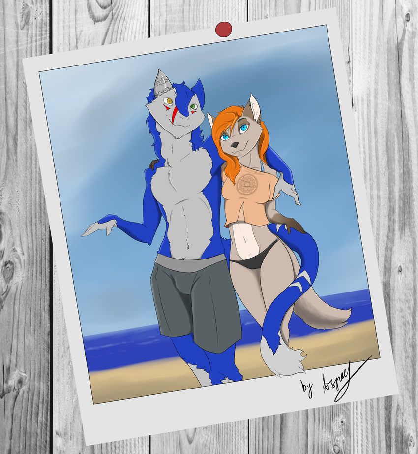 aspeel blue_eyes canine clothing cute female looking_at_viewer male mammal sergal smile summer swimsuit wolf young