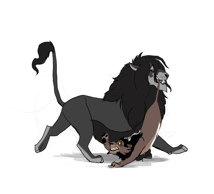 alucard carrying feline humor lion male mammal nuka size_difference