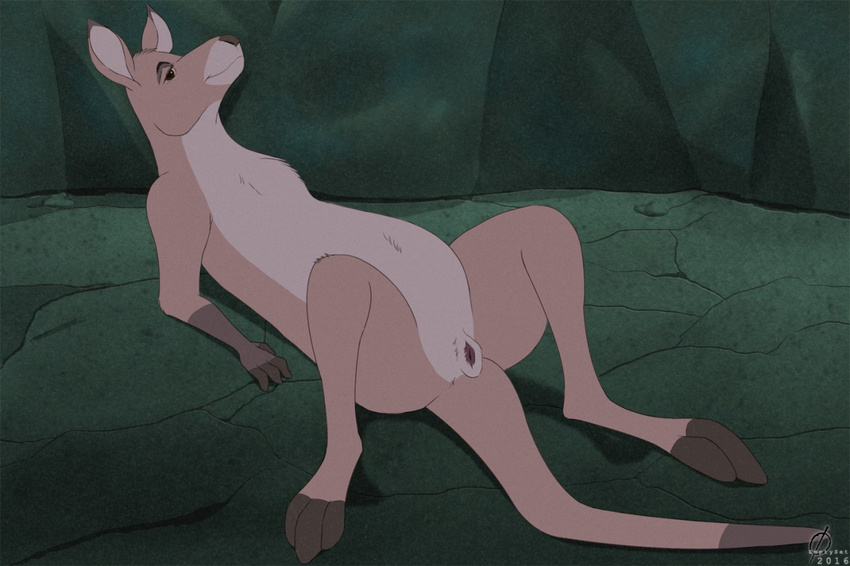 2016 anatomically_correct anatomically_correct_pussy emptyset faloo female feral fur kangaroo lying mammal marsupial on_back pink_fur pussy rescuers_down_under solo spread_legs spreading