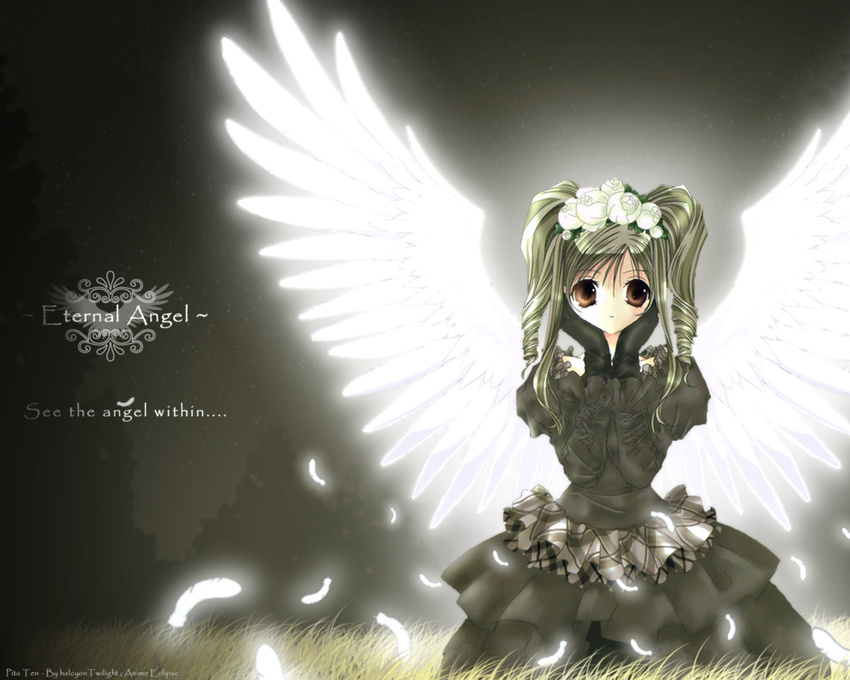 goth-loli koge_donbo pita_ten shia wings