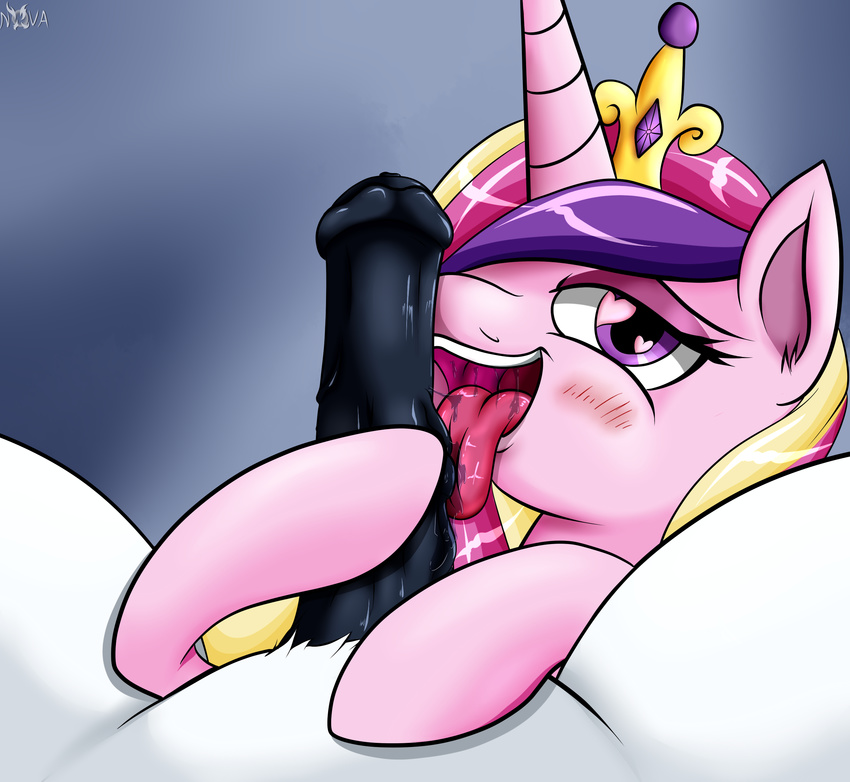 &lt;3 &lt;3_eyes animal_genitalia animal_penis blush crown duo equine equine_penis erection female friendship_is_magic hair hair_over_eyes hi_res horn licking male male/female mammal multicolored_hair my_little_pony novaspark oral penis penis_lick princess_cadance_(mlp) purple_eyes saliva sex tongue tongue_out winged_unicorn wings