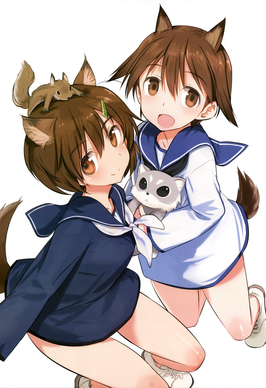 absurdres animal animal_ears brave_witches brown_eyes brown_hair dog hair_ornament hairclip highres karibuchi_hikari kuji_kanesada miyafuji_yoshika multiple_girls official_art school_uniform serafuku shimada_fumikane short_hair smile squirrel strike_witches tail world_witches_series