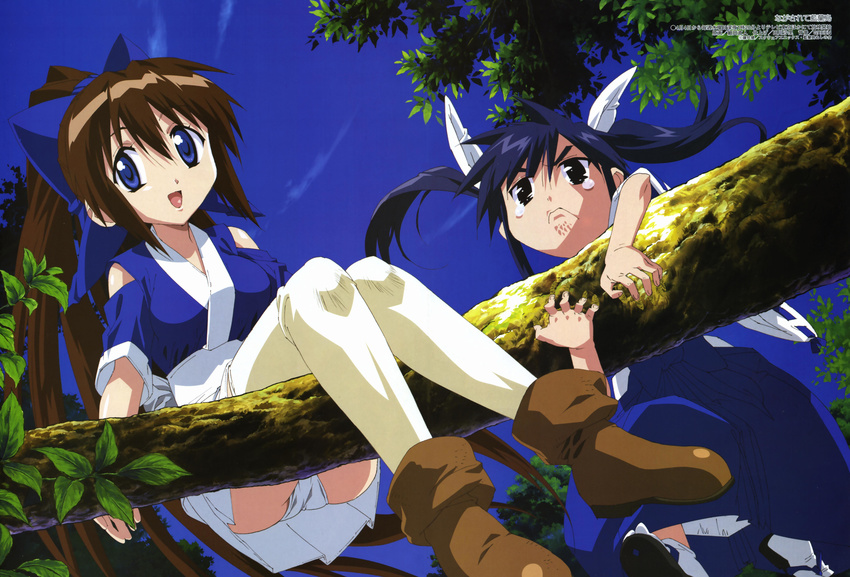 absurdres ayane_(nagasarete_airantou) black_eyes blue_eyes blue_hair boots brown_hair day frown hair_ribbon highres hosoda_naoto in_tree japanese_clothes leaf long_hair magazine_scan megami miko multiple_girls nagasarete_airantou ninja non-web_source outdoors panties pantyshot ponytail ribbon sandals scan sitting sitting_in_tree skirt sky socks suzu_(nagasarete_airantou) tears thighhighs tree twintails underwear upskirt very_long_hair