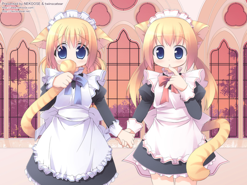 animal_ears apron blonde_hair blue_eyes blush bow cat_ears copyright_request highres holding_hands holding_own_tail indoors kagura_yuuki long_hair long_sleeves maid maid_headdress multiple_girls nekono_osero nervous pink_bow tail tail_grab twintails wallpaper window