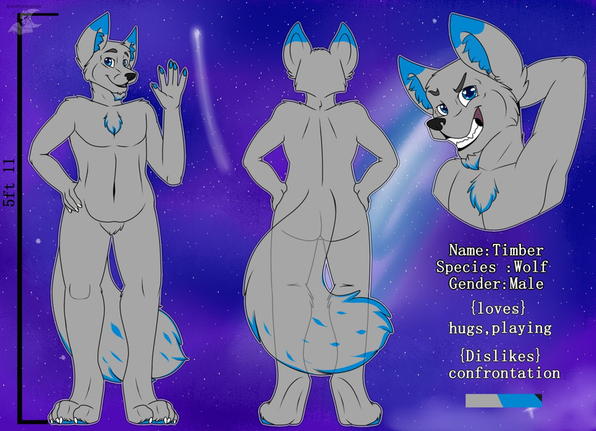 anthro canine looking_at_viewer male mammal model_sheet nude singingbirdstudio solo wolf