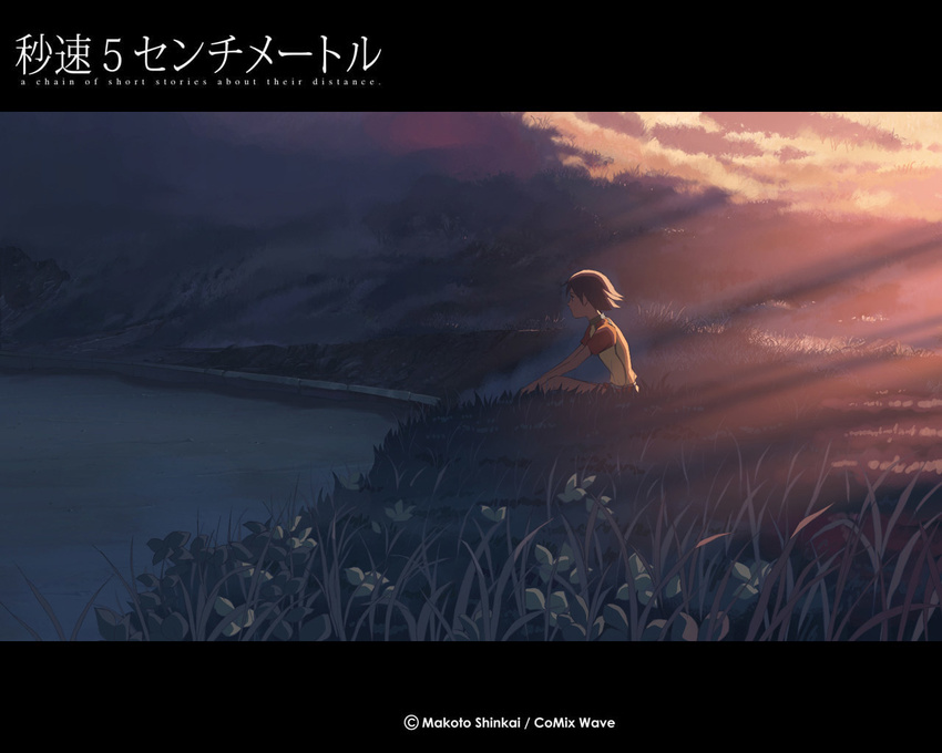 5_centimeters_per_second backlighting brown_hair cloud copyright_name flipped_hair flower grass letterboxed on_ground outdoors profile shade shinkai_makoto short_hair short_sleeves sitting sky solo sumita_kanae wallpaper water wetsuit