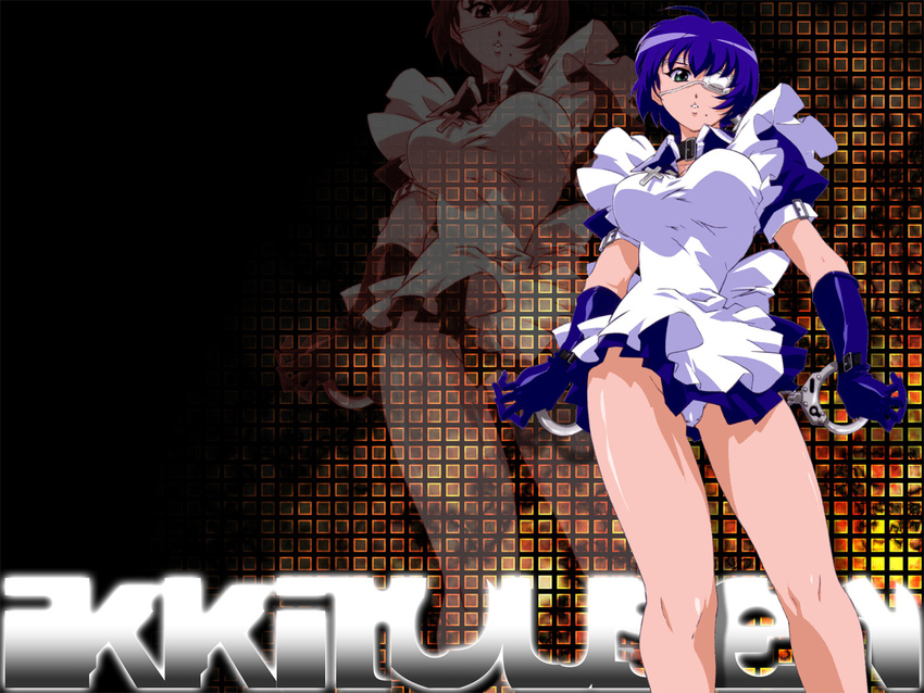 ikkitousen ryomou_shimei tagme