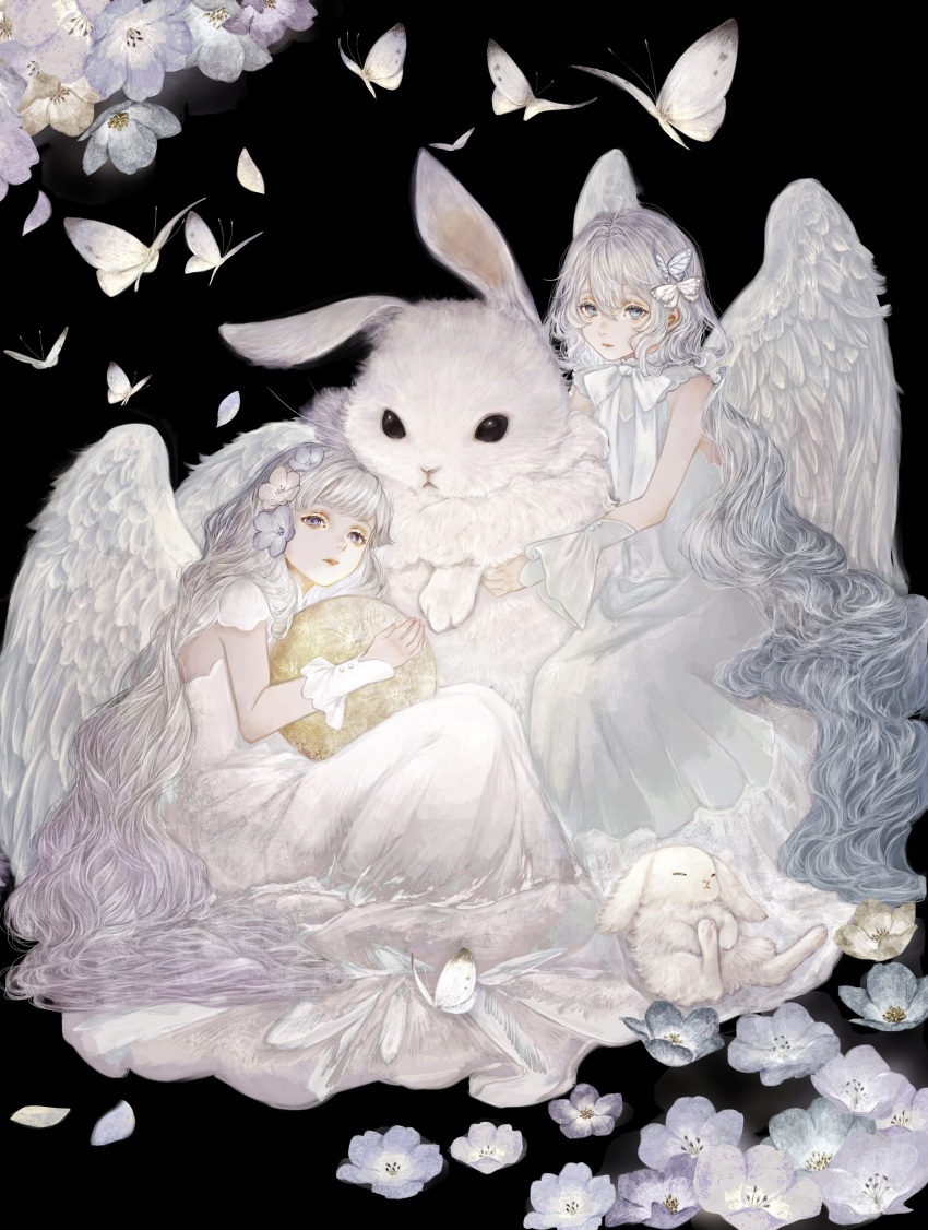2girls absurdres angel_wings animal black_background blue_eyes bug butterfly butterfly_hair_ornament commentary_request detached_sleeves dress expressionless feathered_wings flower grey_dress grey_hair hair_flower hair_ornament highres long_hair looking_at_viewer multiple_girls original oversized_animal parted_lips petals purple_eyes rabbit shirone_(coxo_ii) sitting very_long_hair white_butterfly white_dress white_rabbit_(animal) white_wings wings